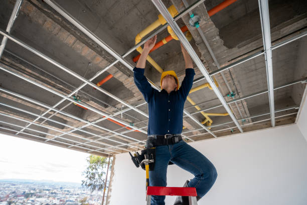 Best Gas Line Repair  in Fraser, CO